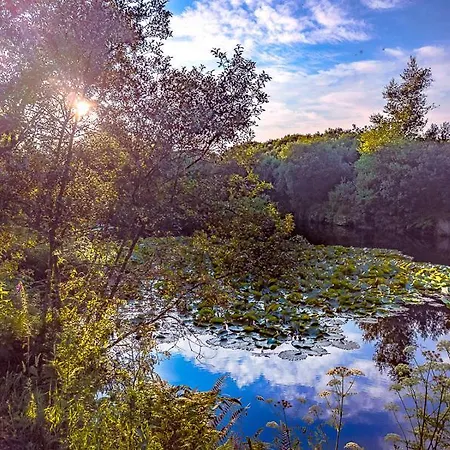Lodge Lakeside *